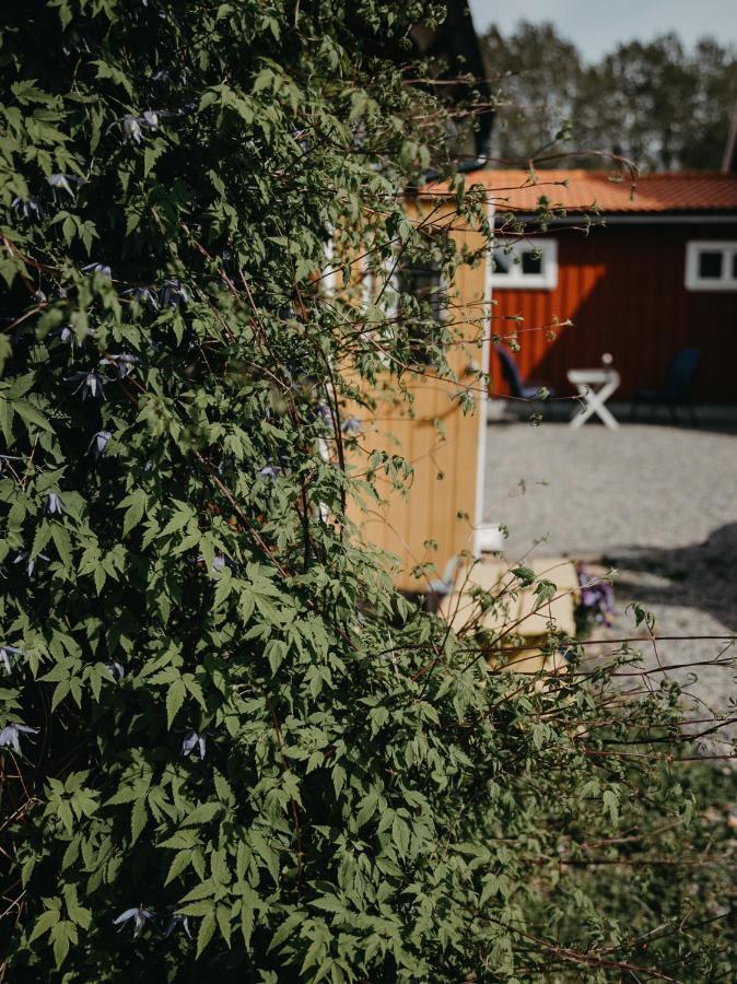 En Lantlig Idyll Med Skogen Precis Utanfoer Doerren! Villa Ullared Kültér fotó